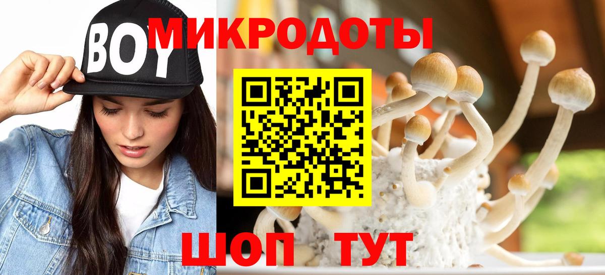 Галлюциногенные грибы прущие грибы Отрадный